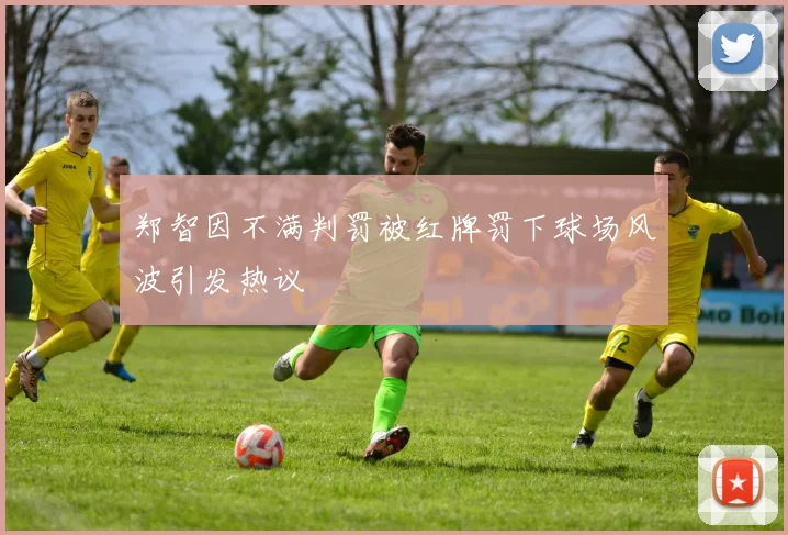 郑智因不满判罚被红牌罚下球场风波引发热议